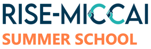 MICCAI Summer School Logo